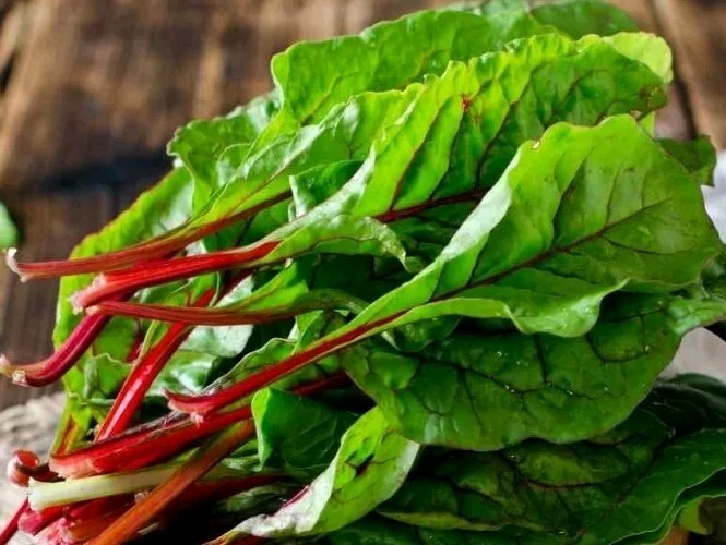 Swiss Chard, Red (Beta Vulgaris ssp. Cicla Red), SEEDS