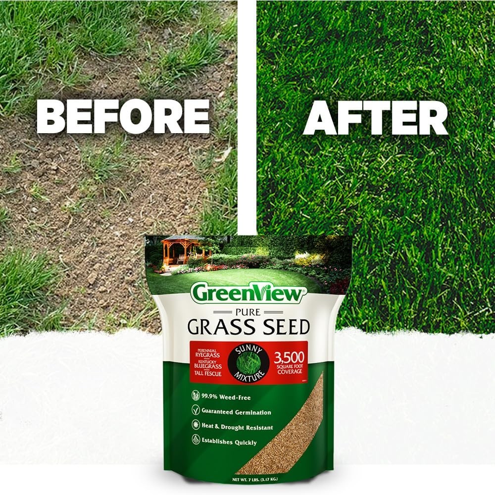 Premium Grass Seed Sunny Blend, 3 lb. Bag – Covers 1,500 sq. ft. for Lush Lawn