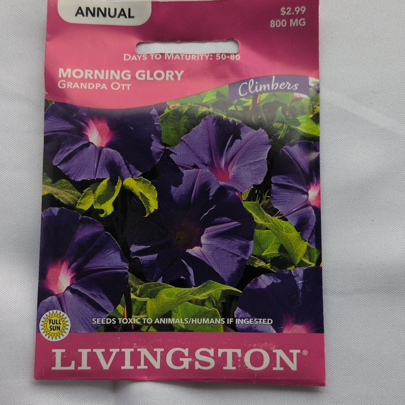 Livingston Morning Glory Grandpa Ott Annual Purple Seeds Y2585