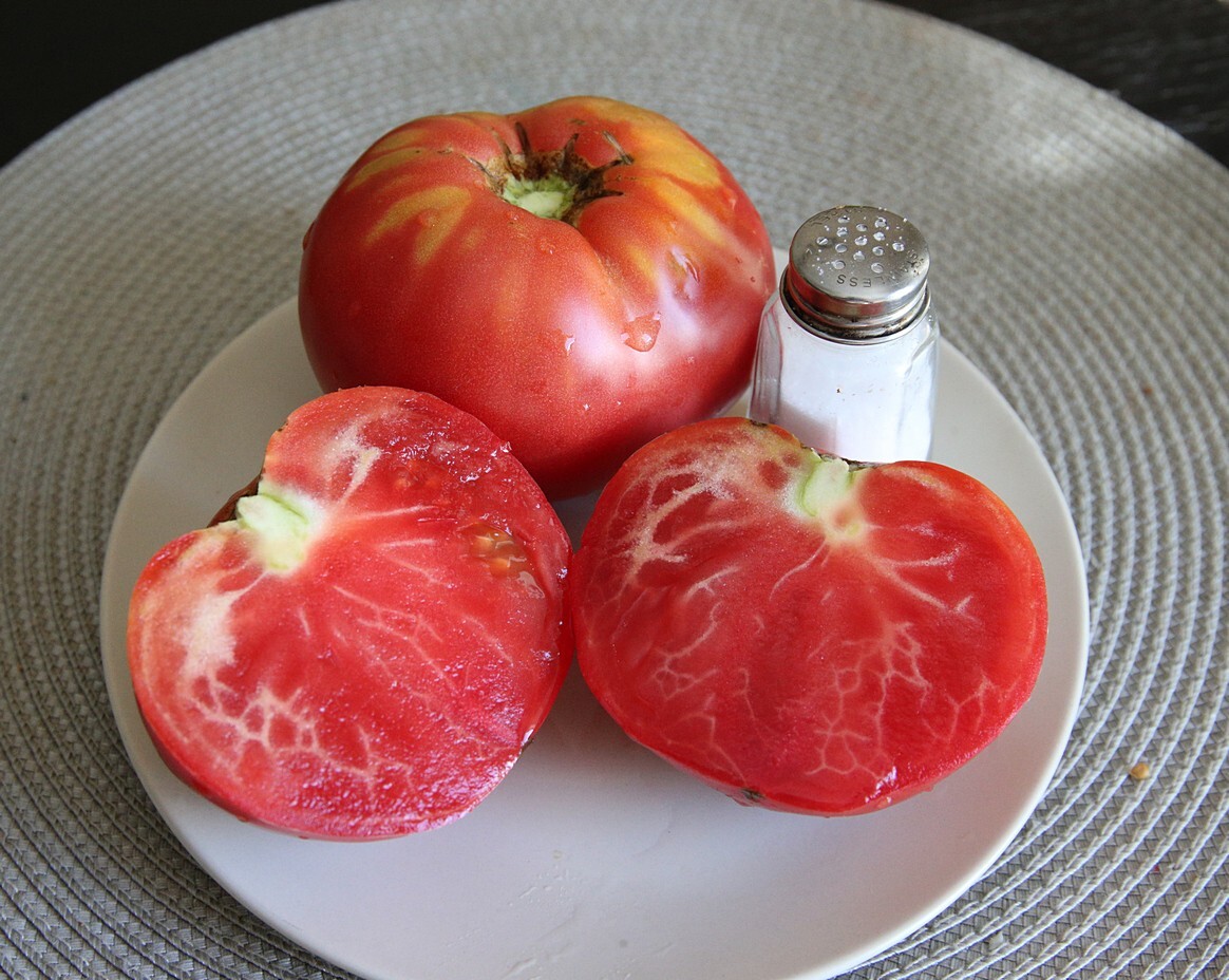 30 Miracle of Siberian Land TOMATO Seeds