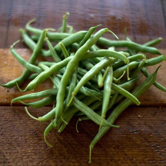 75+ seeds, Blue Lake Bush – Bean Seeds, heirloom seeds, non-GMO, vegetable seeds
