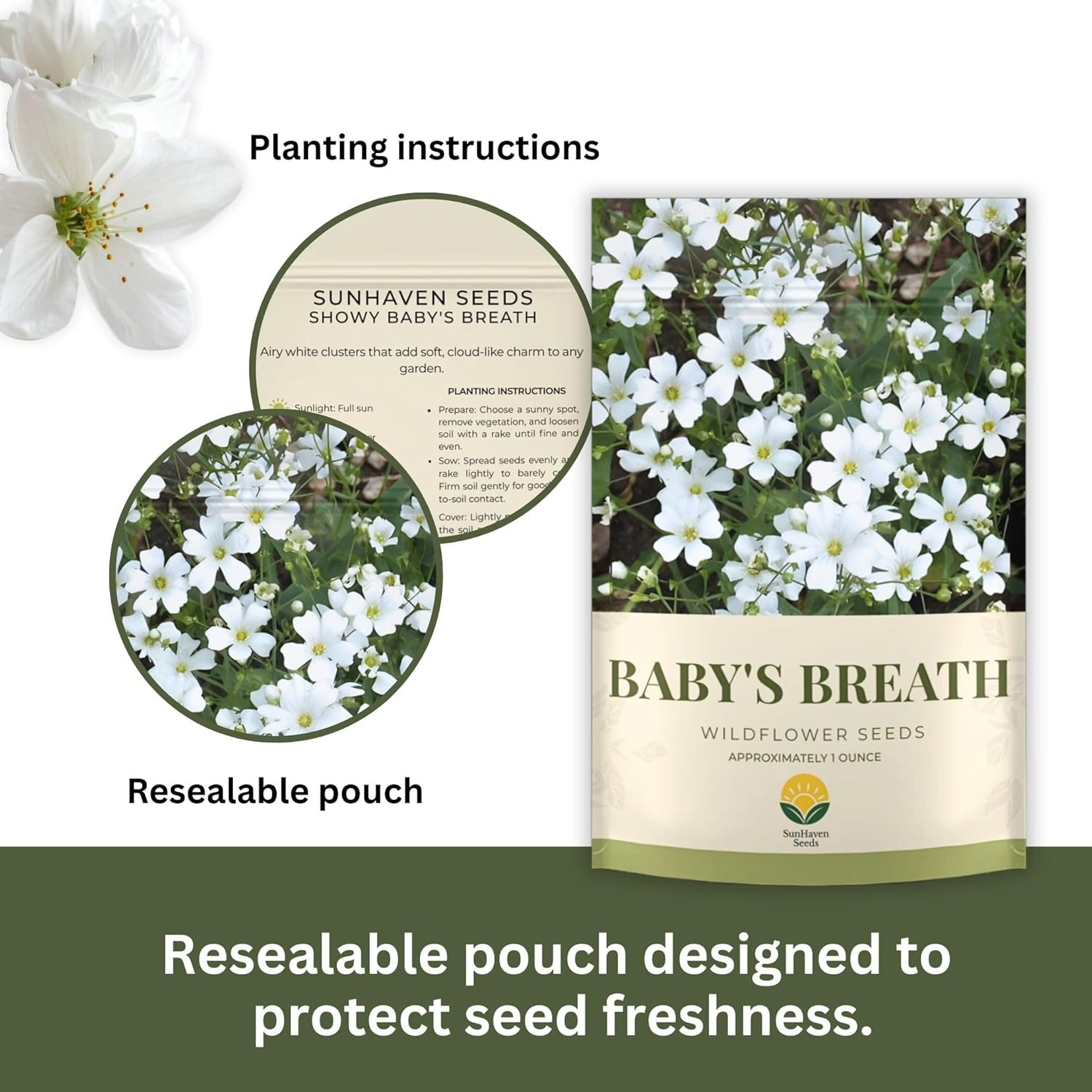 Baby’S Breath Seeds – 20,000+ Seeds – 1 Oz Bulk Resealable Packet – Quick Bloomi