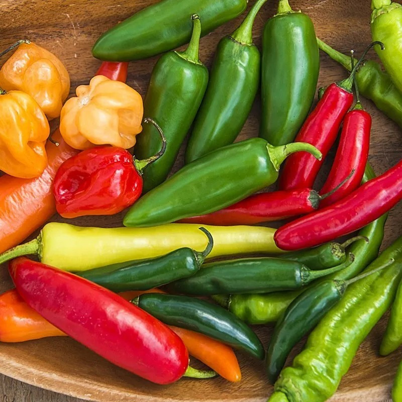 100+ Hot and Happy Pepper Mix Seeds — Heirloom ——— Large Assortment
