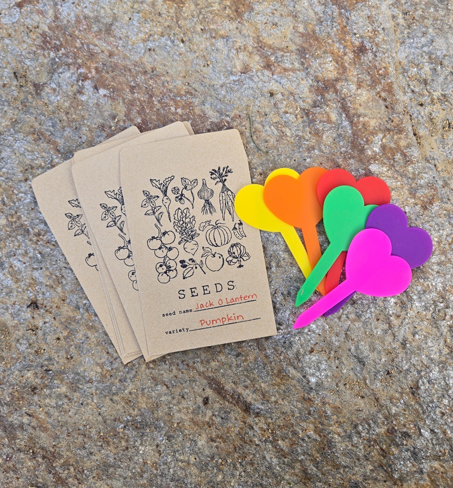 BEGINNER GARDEN for KIDS! 🌱 Organic Seed Collection 🌻 6 Fun Varieties + Gift!