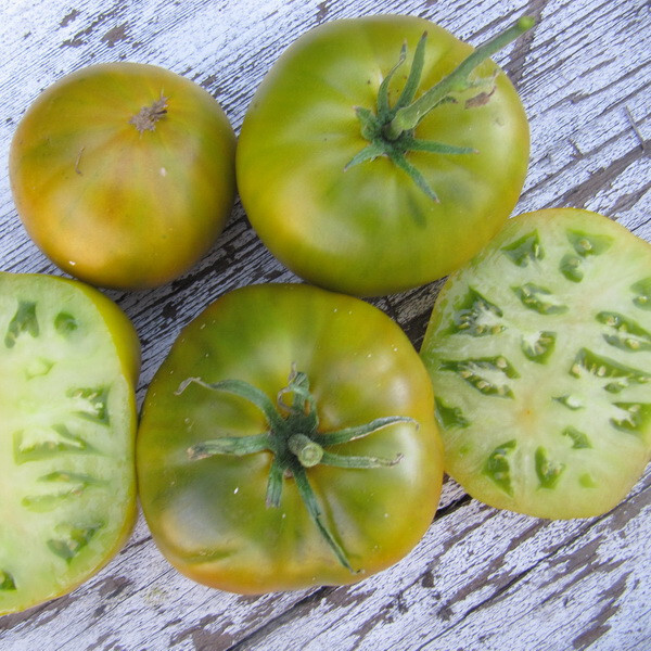 50+ CHEROKEE GREEN TOMATO SEEDS – FRESH FOR YOUR VEGETABLE GARDENS