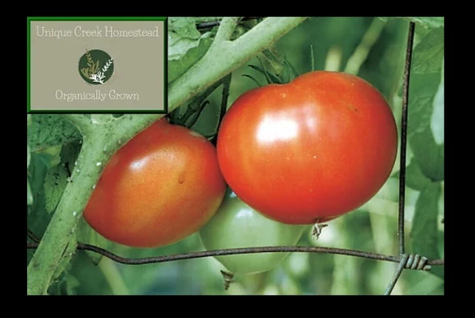 BEEFSTEAK Tomato Seeds Organically Grown Unique Creek Homestead Gardens