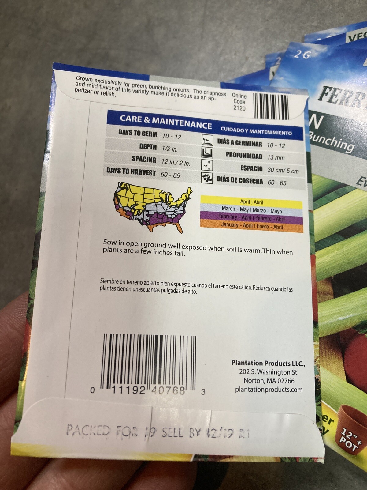 10 Ferry Morse Onion Evergreen Bunching Seed Packs Vegetable Free Shipping