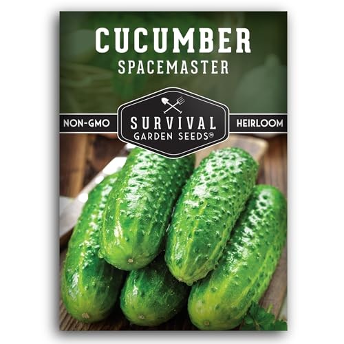 Spacemaster Cucumber Seeds for Planting | Compact Heirloom Non-GMO Variety 1