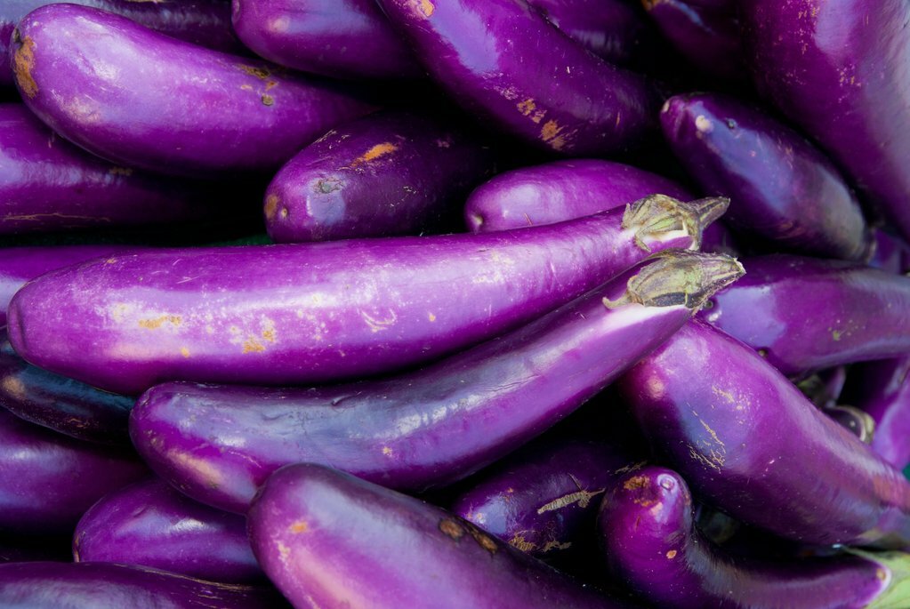 Eggplant Long Purple Seeds 200+ Vegetable Garden Heirloom NON-GMO USA FREE S&H