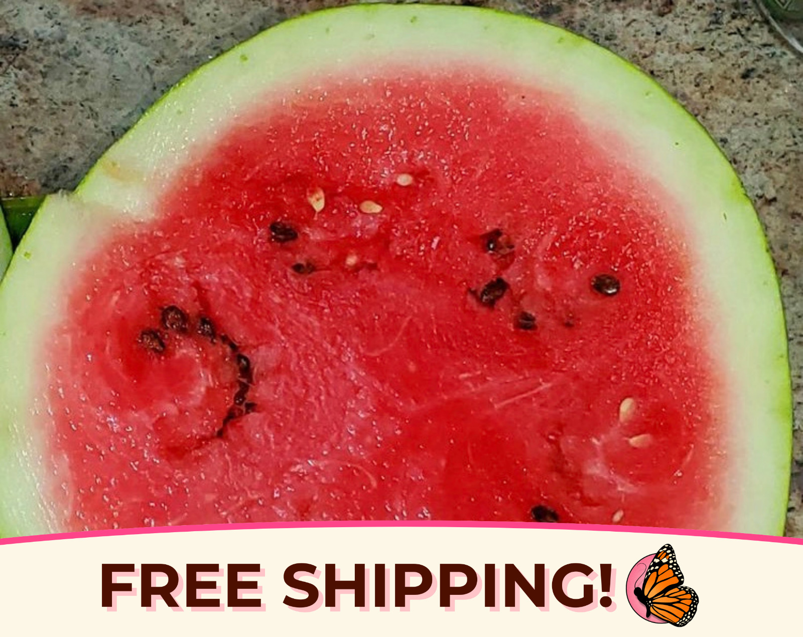 55+ Watermelon Seeds ‘Crimson Sweet’ | Heirloom, Non-GMO, Fruit Seed, Gardening