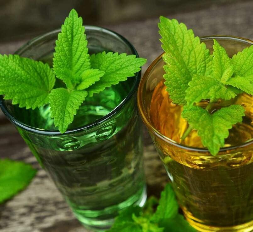 Lemon Balm Seeds for Planting (500 Seeds) – Melissa officinalis