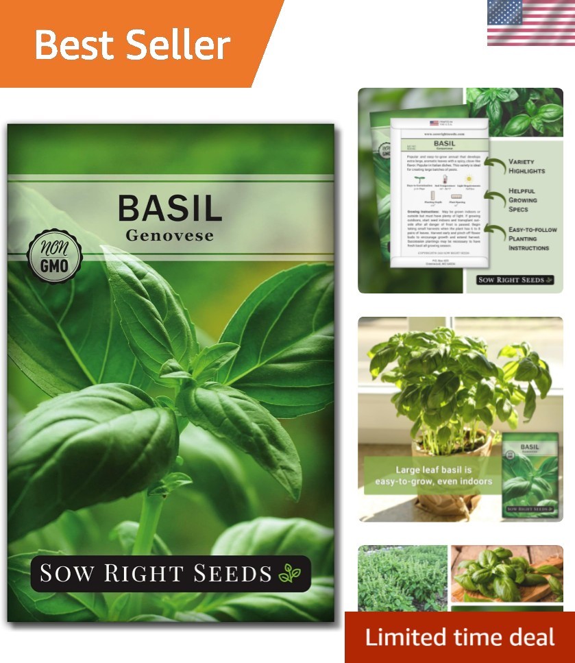 Genovese Sweet Basil Seed for Planting – Non-GMO Heirloom Packet with Instruc…