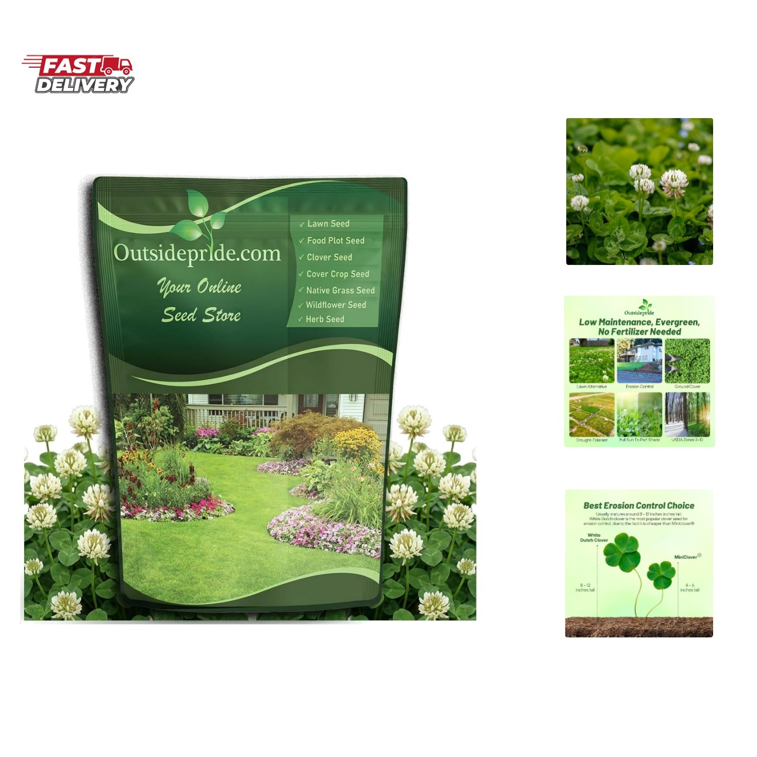 Perennial White Dutch Clover Seed – 1 lbs. Nitrocoated, Inoculated Clover See…