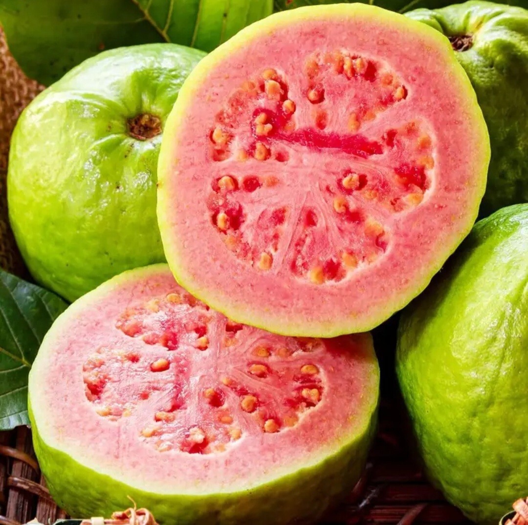 30 Pink Guava Tree Seeds Tropical Strawberry Ruby Supreme Psidium guajava