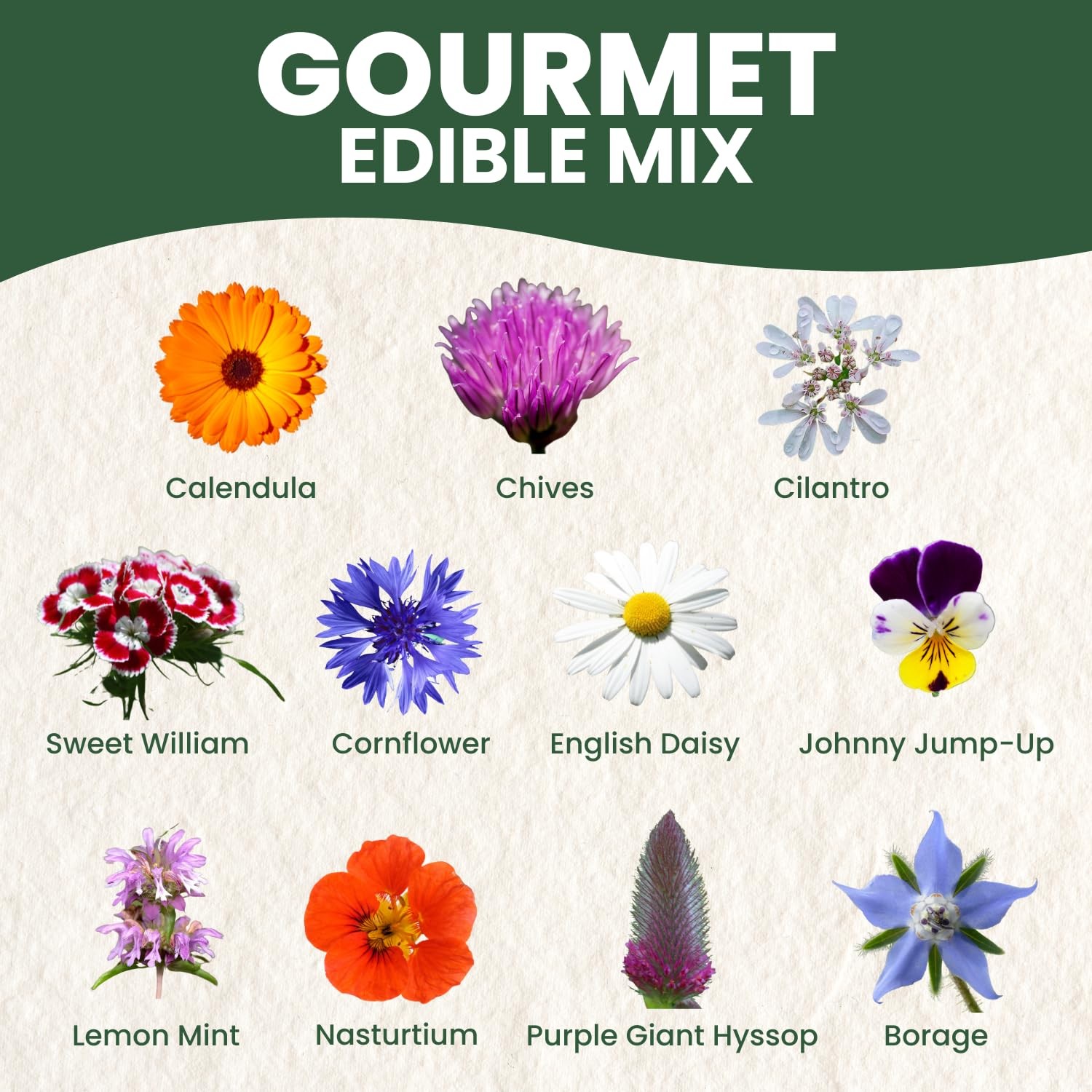 Premium Culinary Seeds Mix – 22,000 Edible Flowers & Herbs for Planting