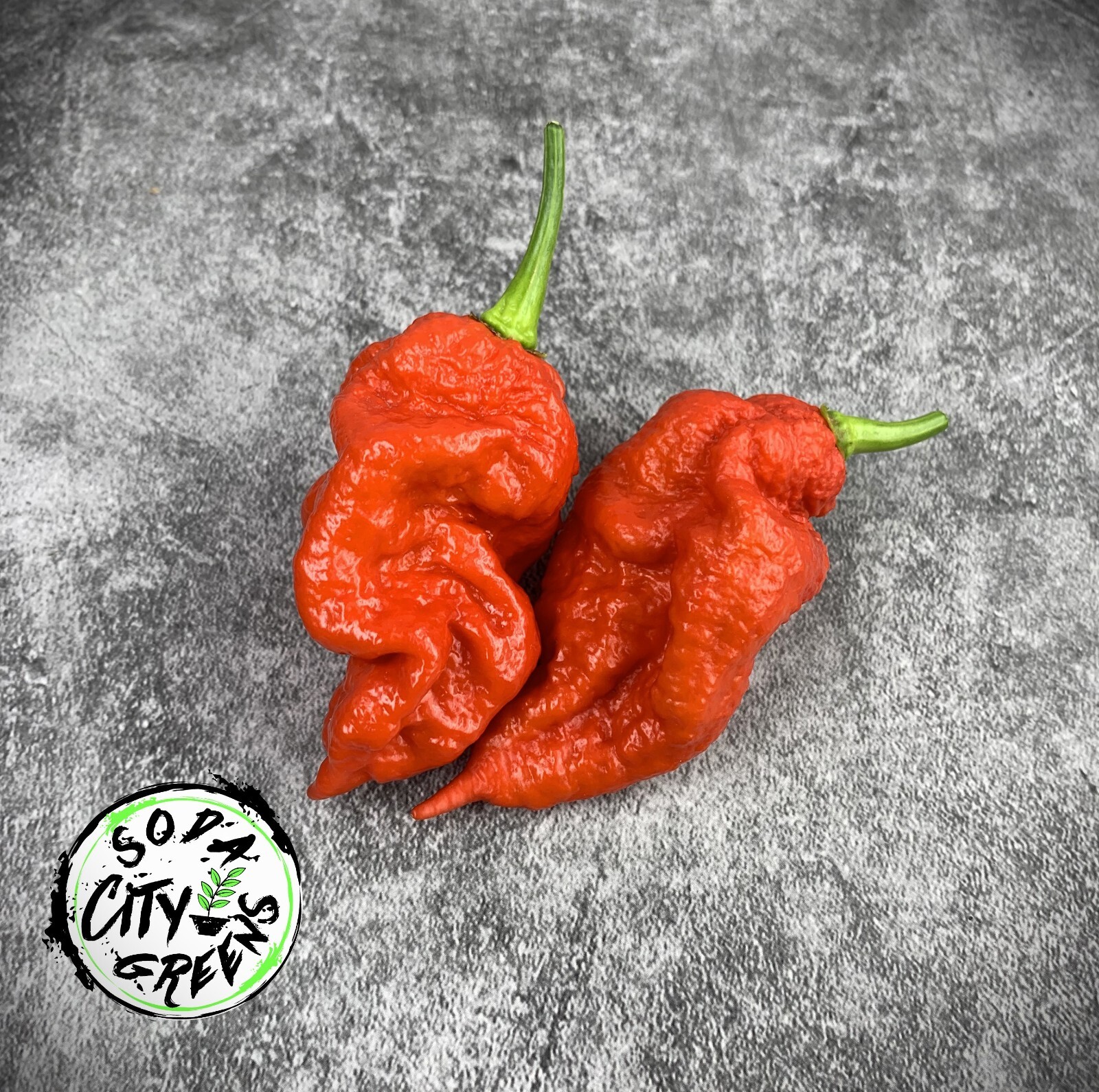 Reapion (Reaper x Scorpion Hybrid) Hot Pepper Seeds 10+