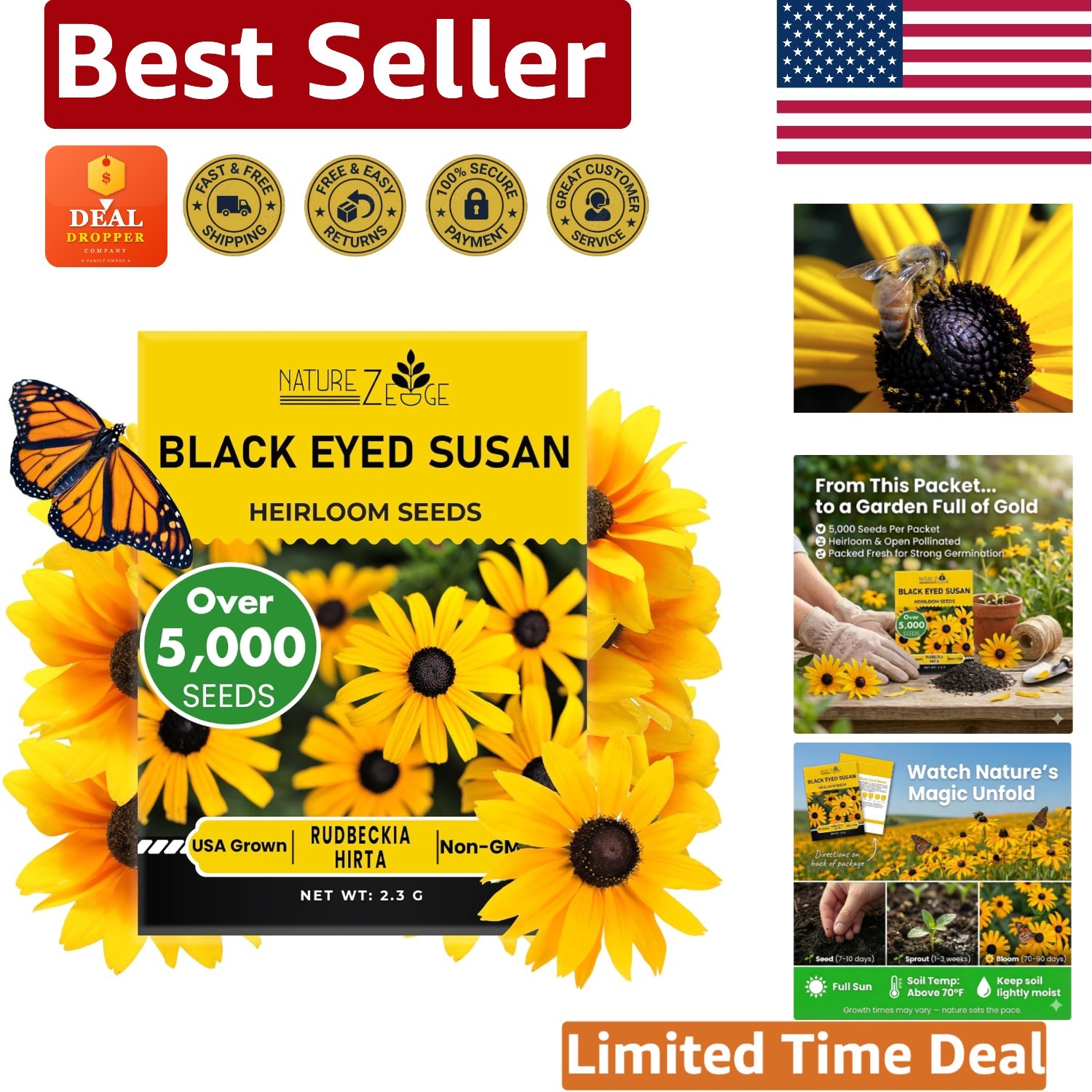 Non-GMO Black Eyed Susan Seeds – 5000 Heirloom Seeds for Colorful Summer Gardens