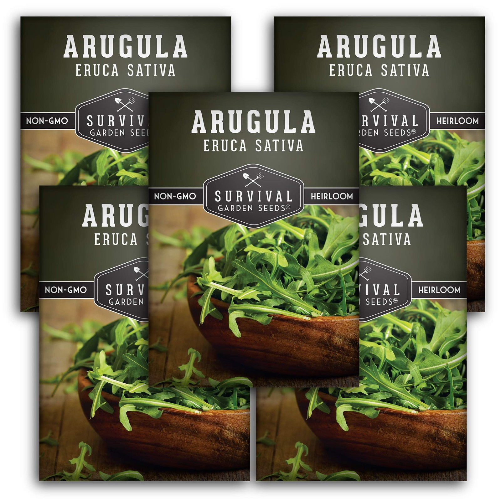 NonGMO Arugula Seeds 5 Packs for Home Vegetable Garden Planting