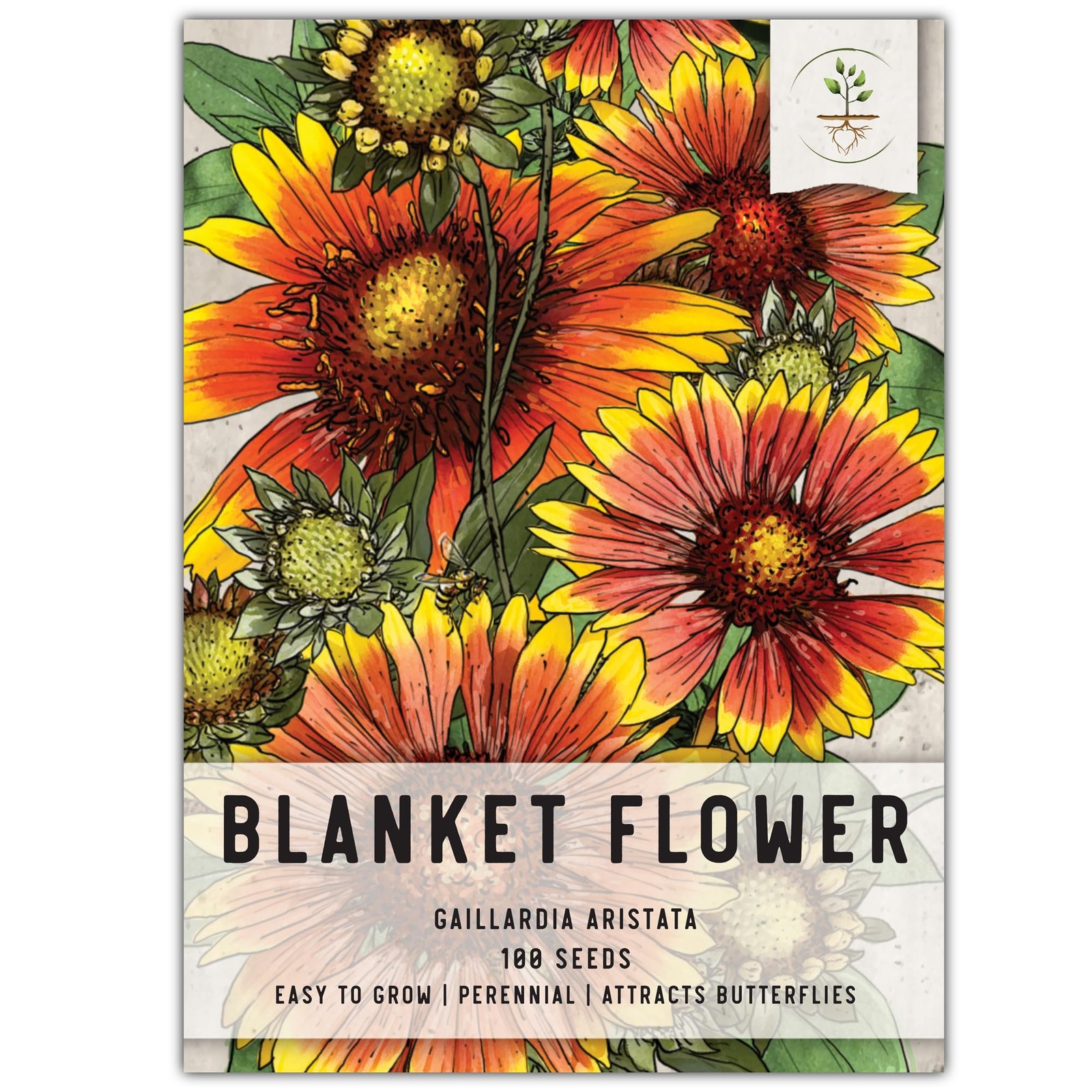 , Blanket Flower Seeds for Planting (Gaillardia aristata) Single Package of 1…