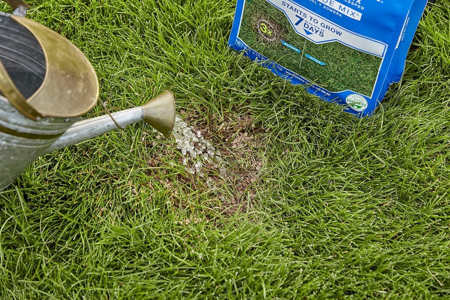 Patchmaster Lawn Repair Mix Sun + Shade Mix, Combination Grass Seed, Fertilizer,
