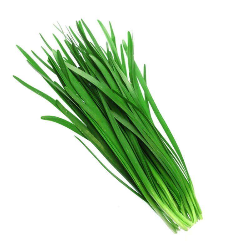 1g Chinese Chives Seeds, Chinese Leek Seeds