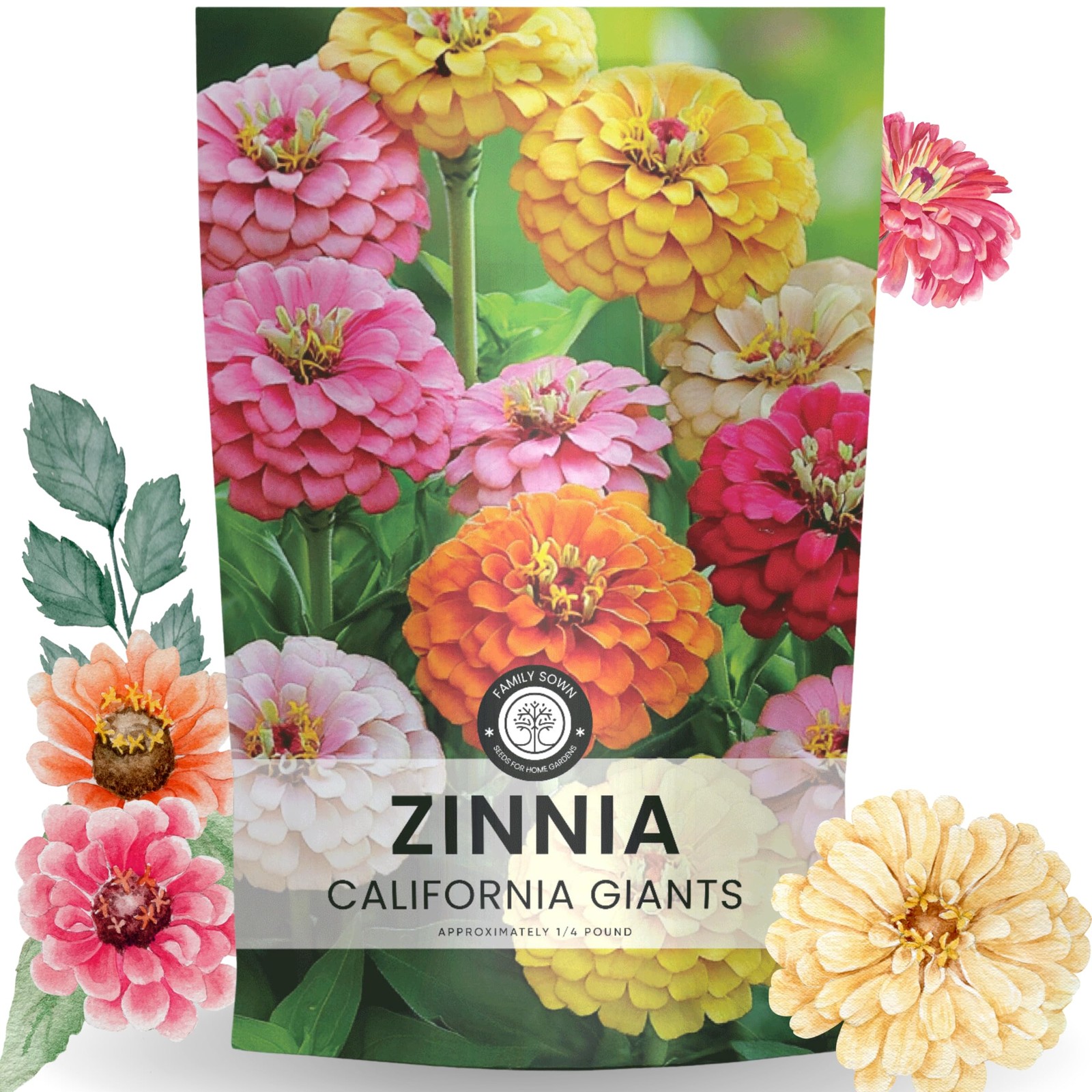 California Giant Zinnia Seeds 12,000 Flower Seeds in Bulk for Planting