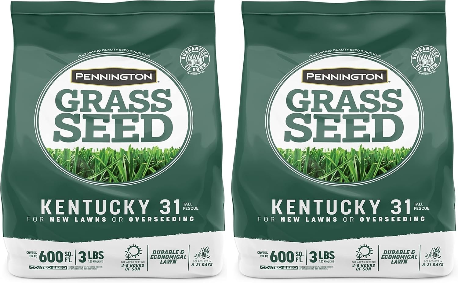 Kentucky 31 Tall Fescue Grass Seed 3 lb Pack of 2 – Drought Resistant & Durable