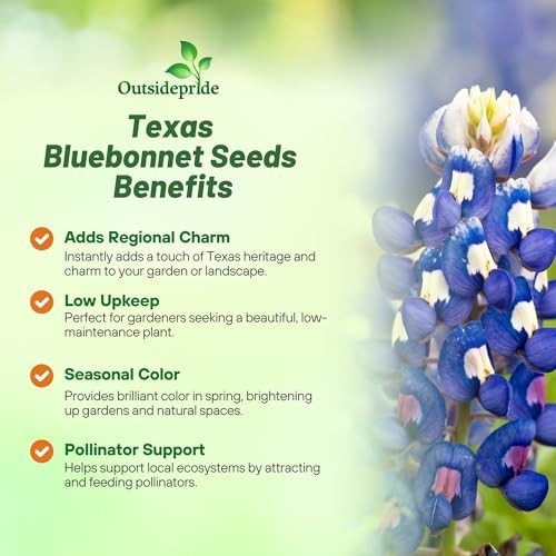 Texas Bluebonnet Seeds 1/4 Lb Annual Lupinus Texensis Drought-Tolerant
