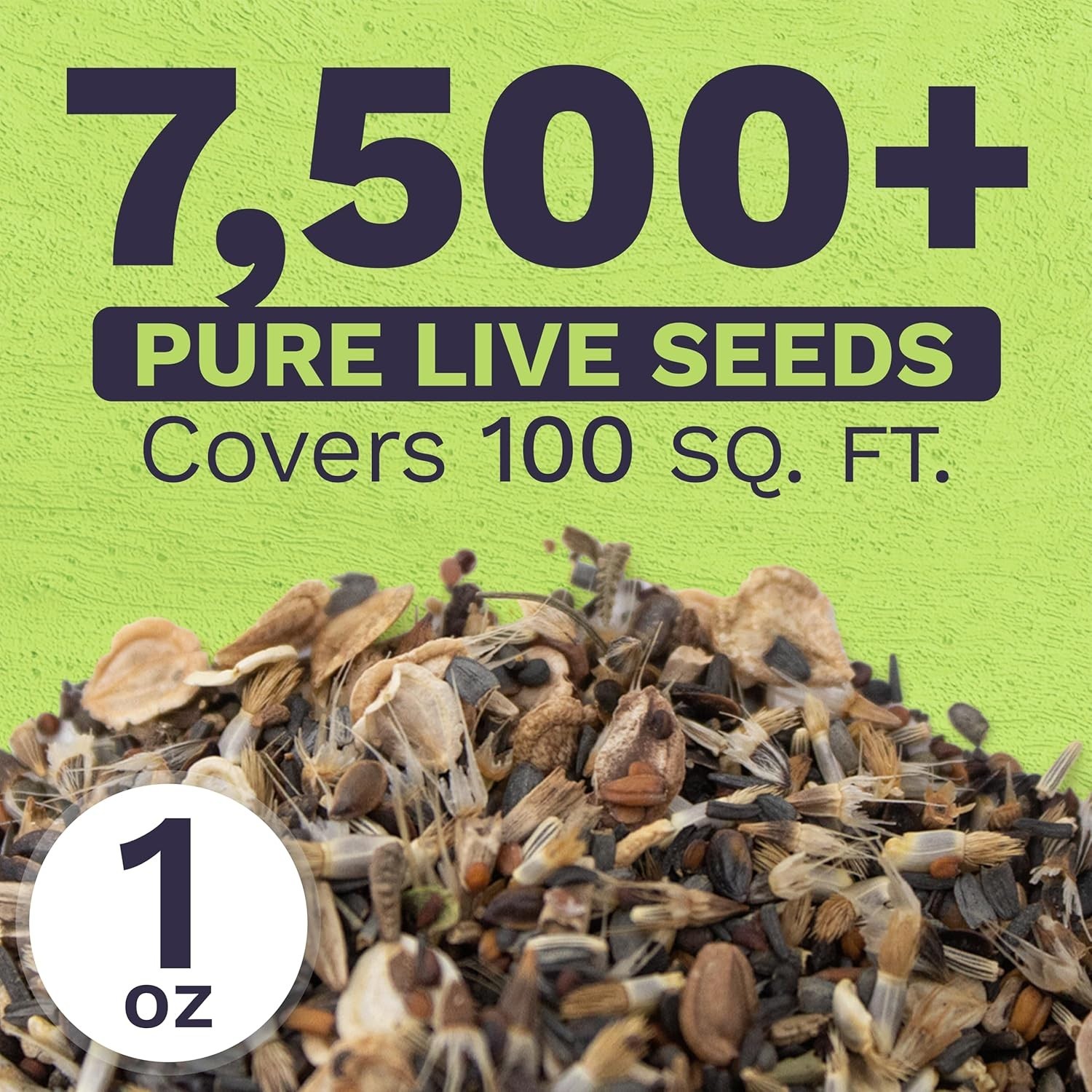 Extra Large Wildflowers Mix – 7,500 Non-GMO Seeds for Vibrant Gardens