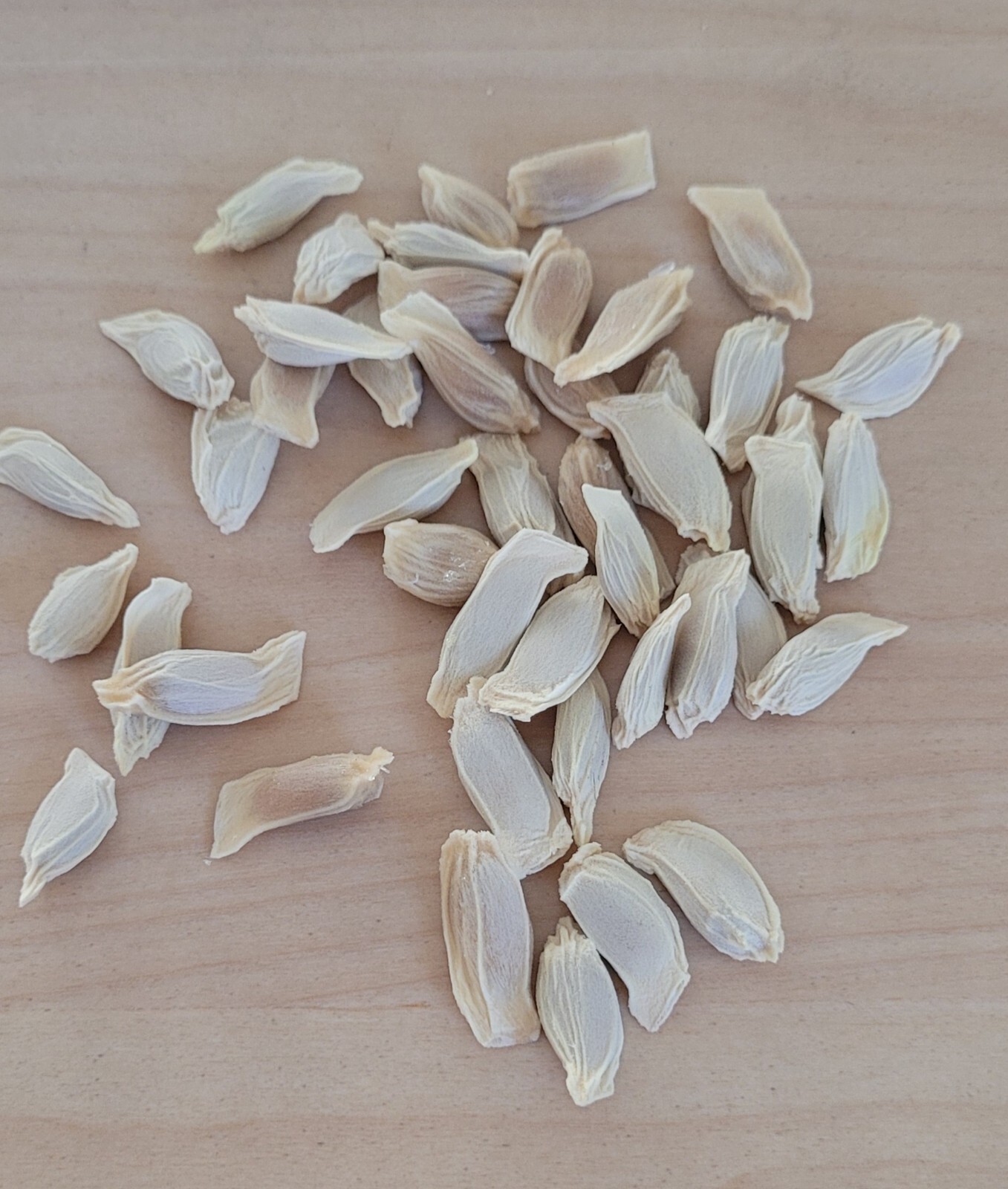 15 Pomelo Seeds Sweet Good Variety