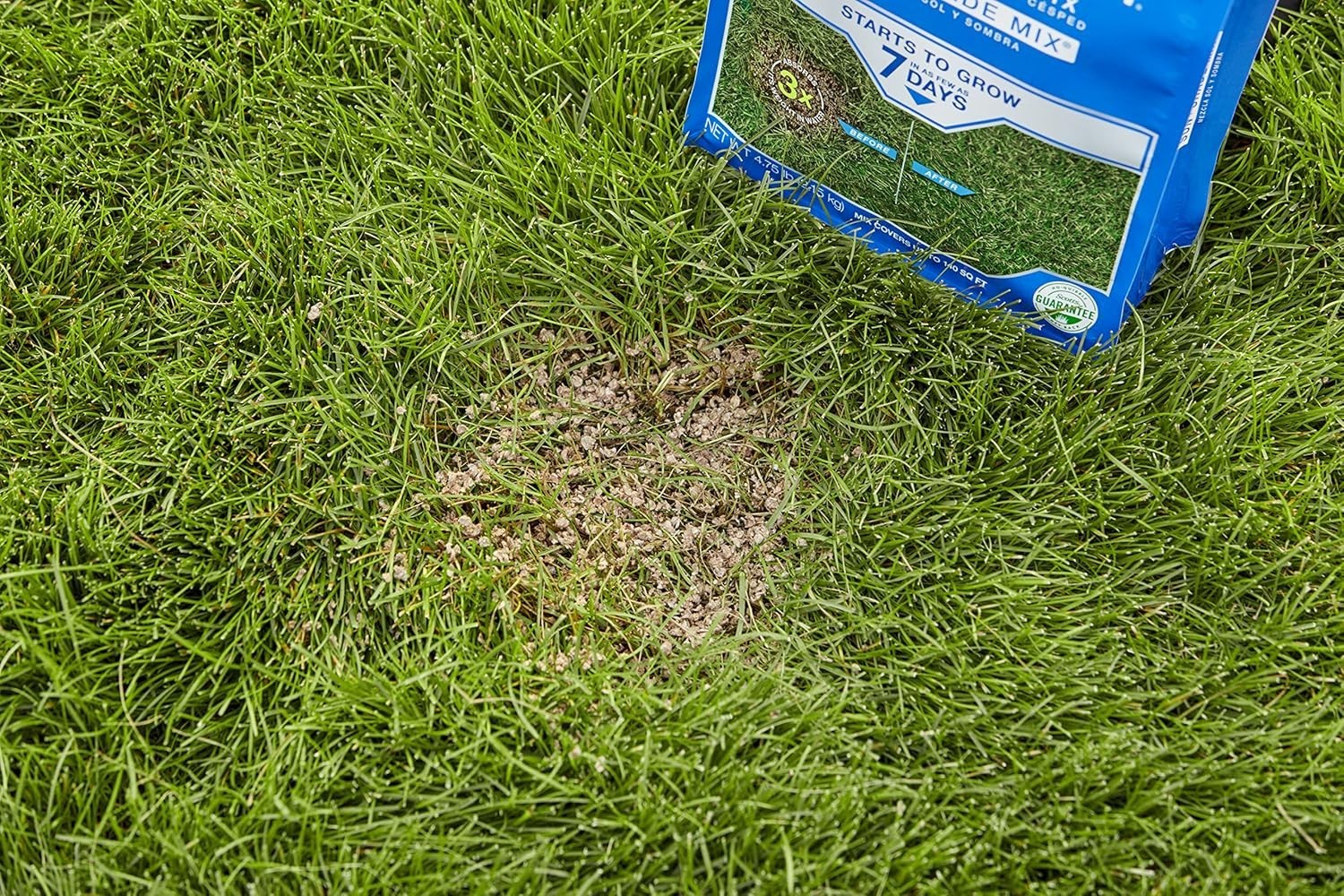 Patchmaster Lawn Repair Mix Sun + Shade Mix, Combination Grass Seed, Fertilizer,