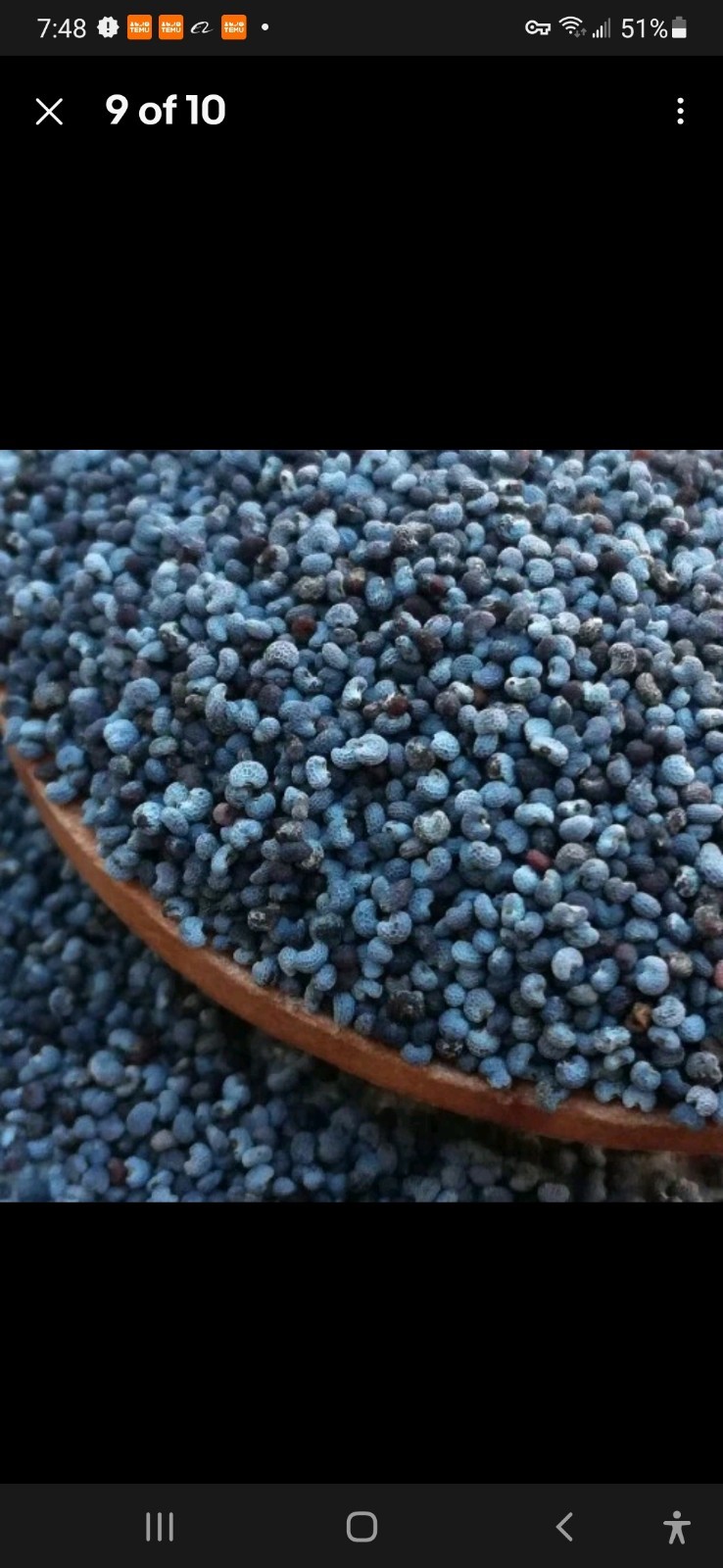 1,000 Fresh Jimi’s Flag Poppy Seeds – P. Somniferum
