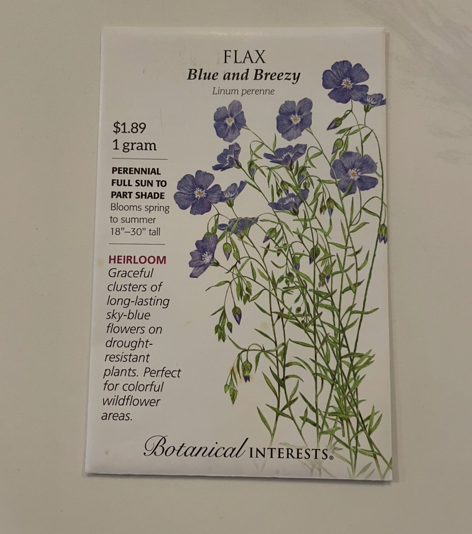 FLAX BLUE AND BREEZY LINUM PERENNE Botanical Interests