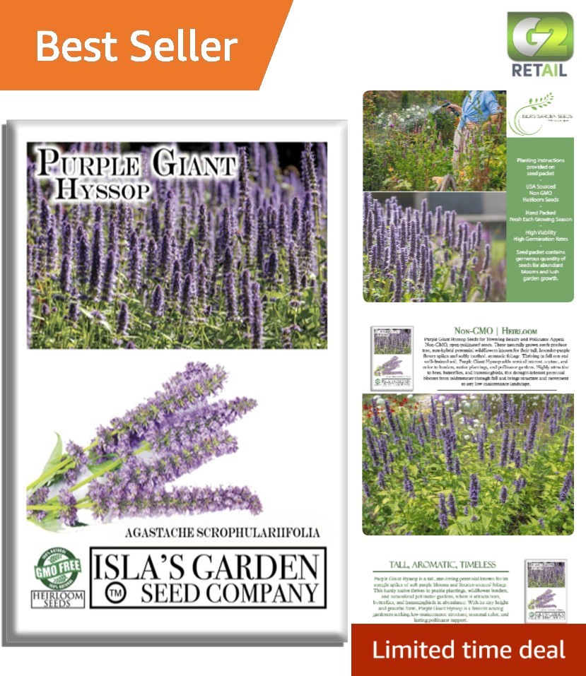250+ Purple Giant Hyssop Seeds – Easy Growing for Colorful Summer Blooms