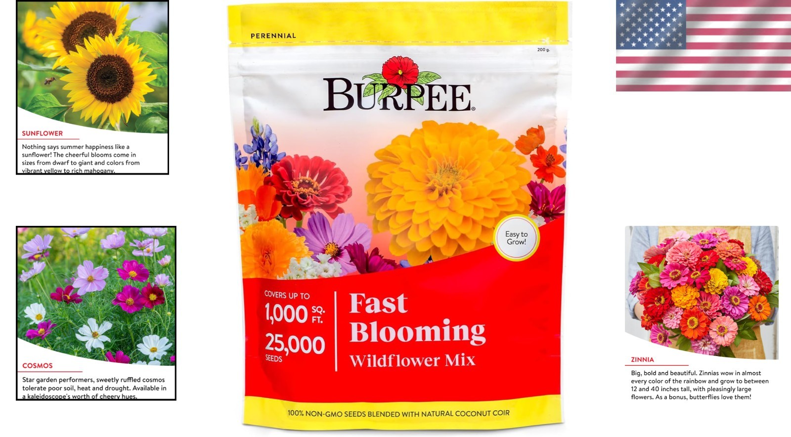 Attract Pollinators with 25,000 Easy Grow Wildflower Seeds – 14 Flower Varieties