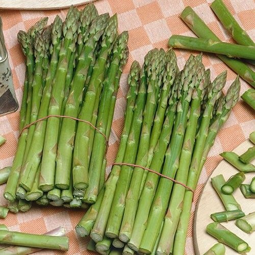 100+ ASPARAGUS SEEDS – MARY WASHINGTON- Non GMO – Heirloom – Organic — FRESH