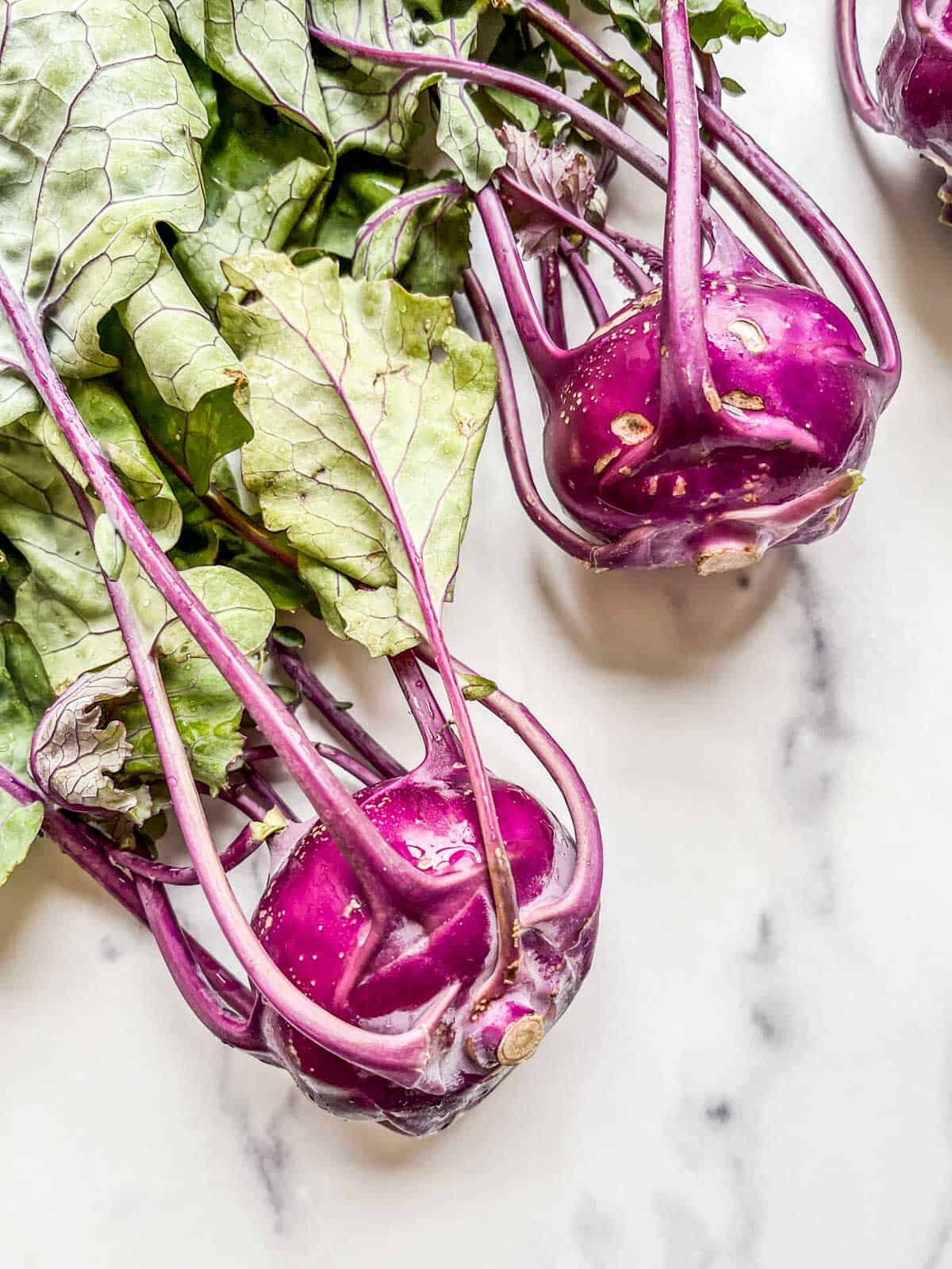 500 PURPLE VIENNA KOHLRABI SEEDS FRESH HARVEST FOR 2024 GARDENS