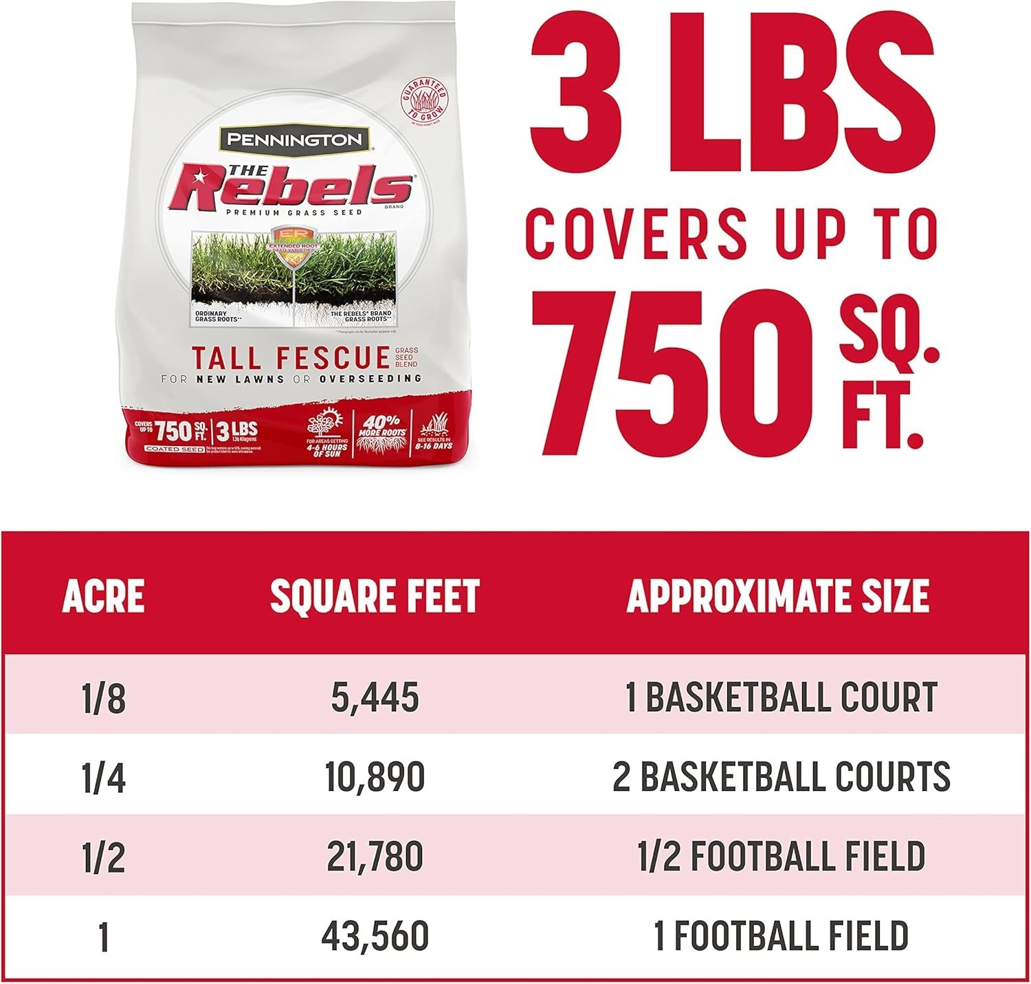 Tall Fescue Grass Seed – The Rebels 3 lb for Tough Conditions & Low Maintenance
