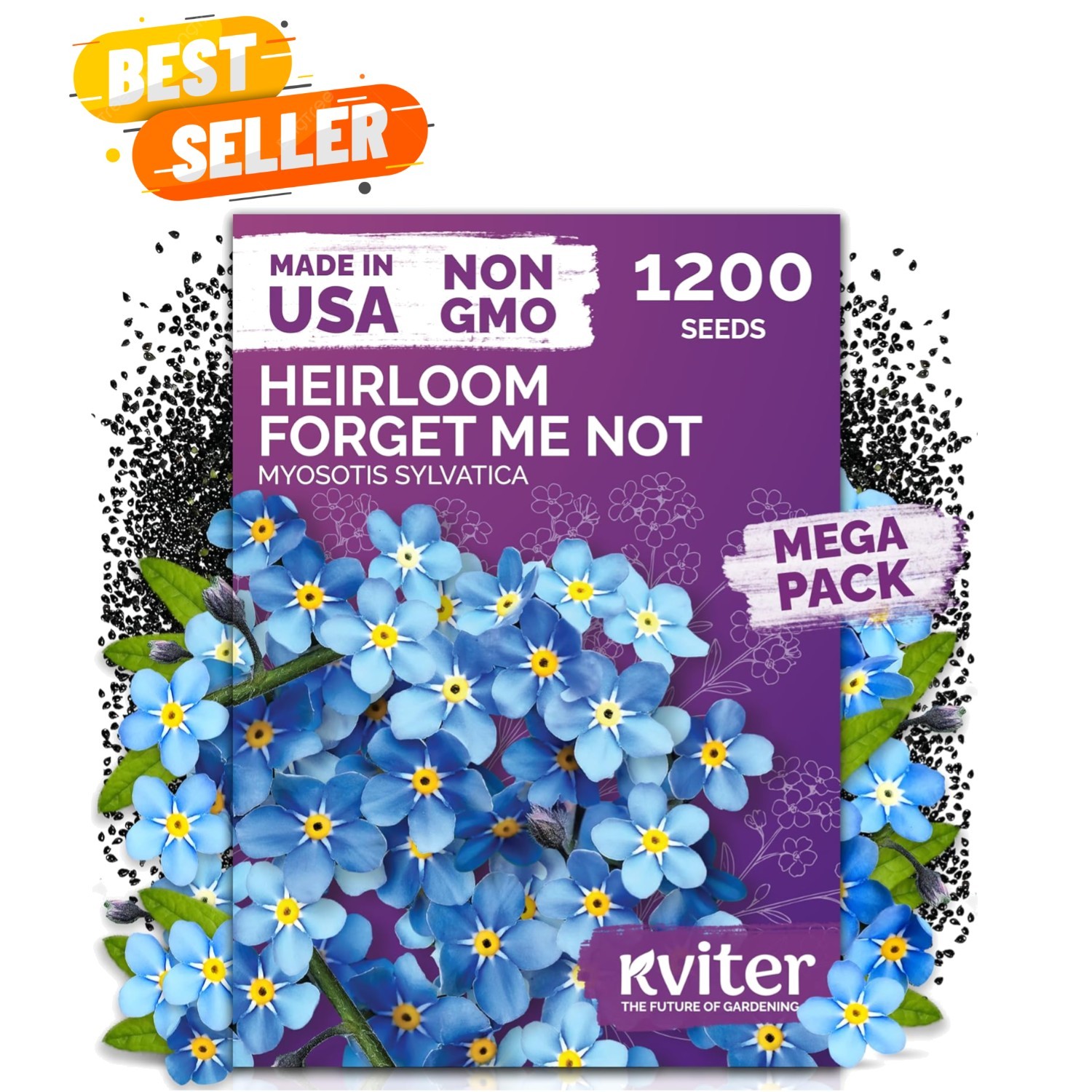 1200 Forget Me Not Myosotis sylvatica Seeds – Charming Blue Spring Flowers fo…