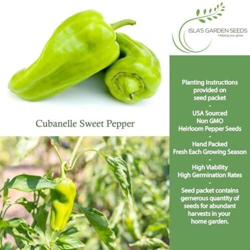 Cubanelle Sweet Pepper Seeds (Capsicum annuum) – 100+ Non-GMO Heirloom Seeds