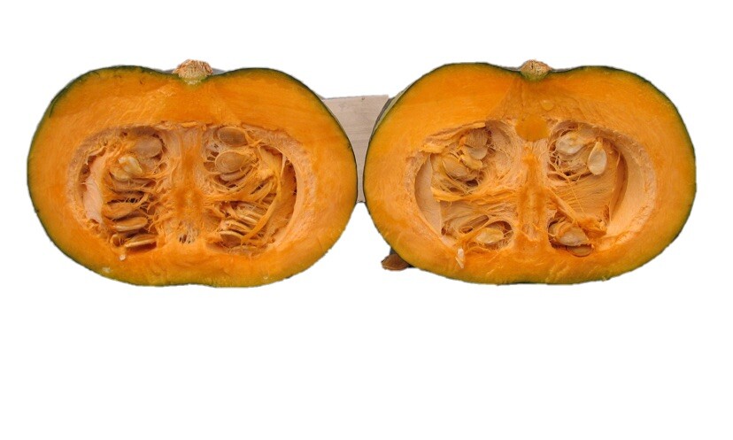 Calabaza (Pumpkin Seeds) 20 Seeds organic non gmo vegetable seeds