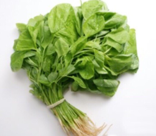 7000+ 1/4-oz Edible Amaranth seeds; Green Leaf 白莧菜; heirloom