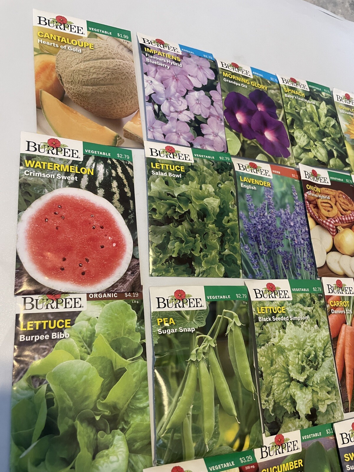 Garden Seeds Lot of 22 Packs of Burpee Vegetable & Herbs Dated 2021