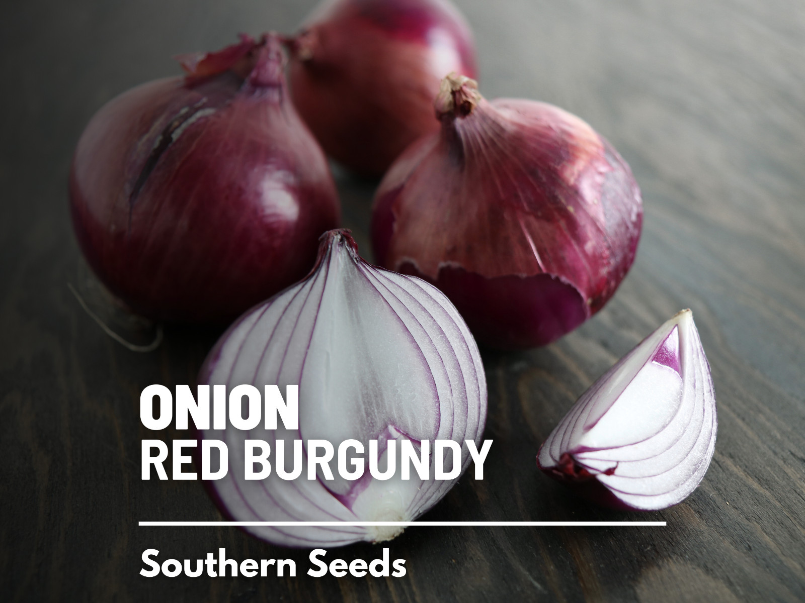 Onion, Red Burgundy – 100 Seeds – Heirloom – GMO Free (Allium cepa)