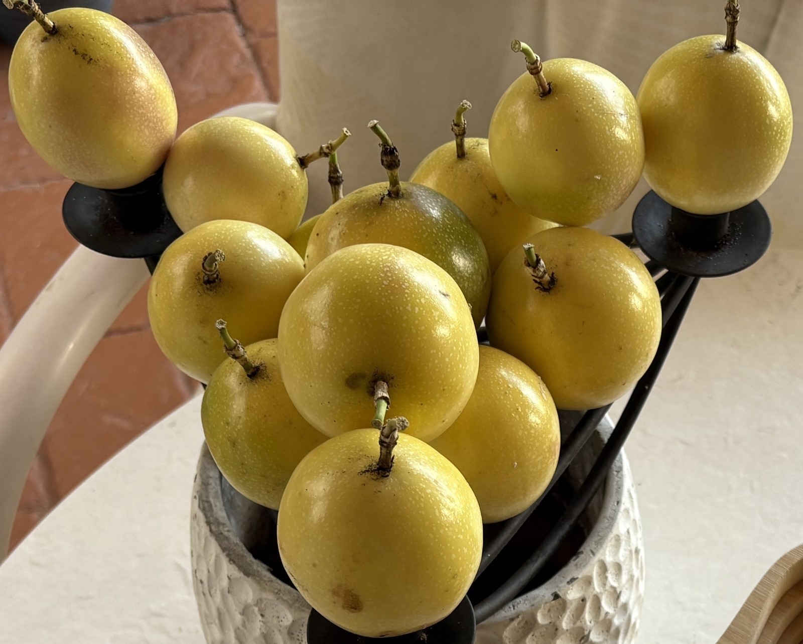 Yellow Passion Fruit seeds – Passiflora Edulis – 10 yellow passionfruit seeds