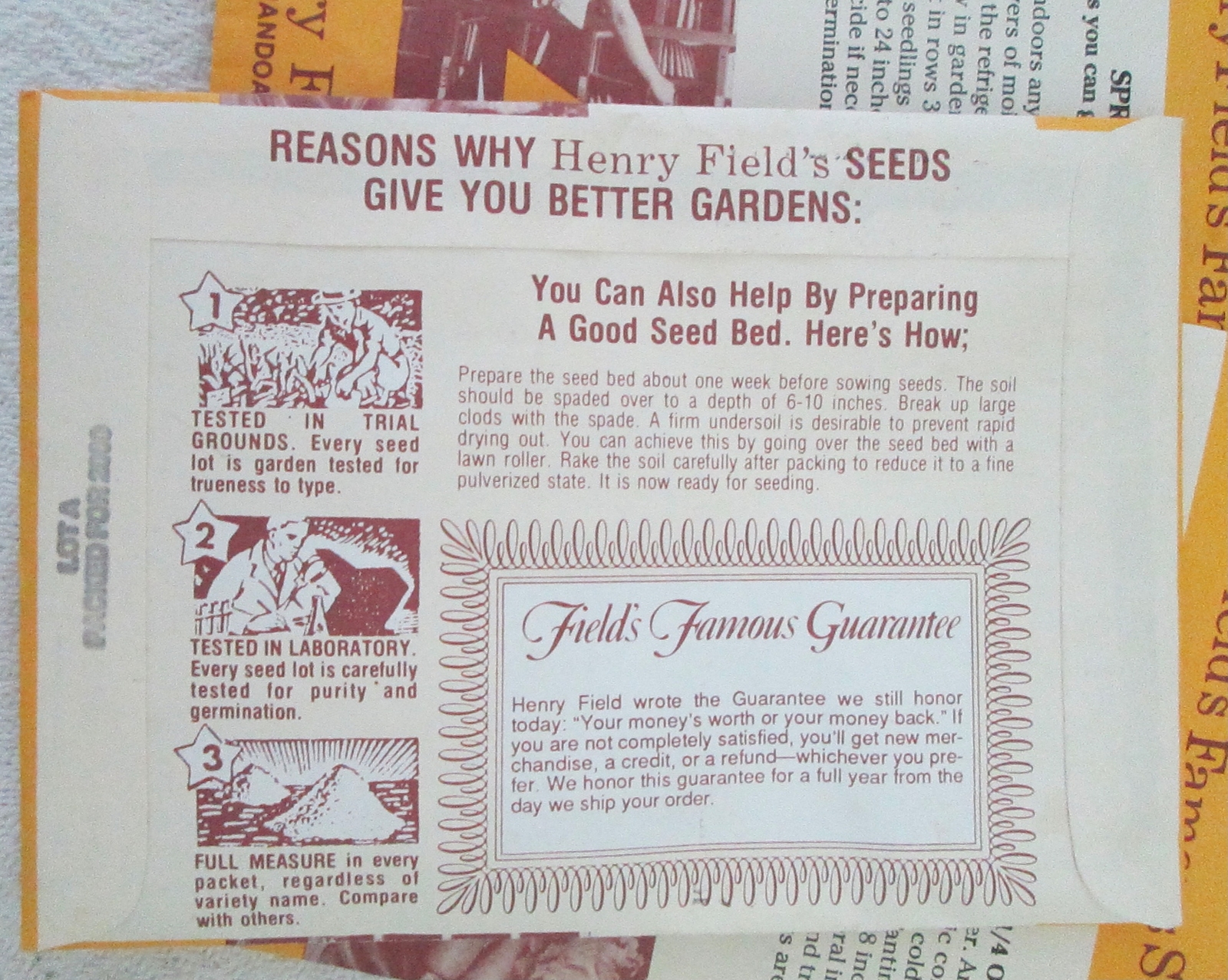 Vintage 4 Packs of Henry Fields Famous Seeds Colorado Blue Spruce