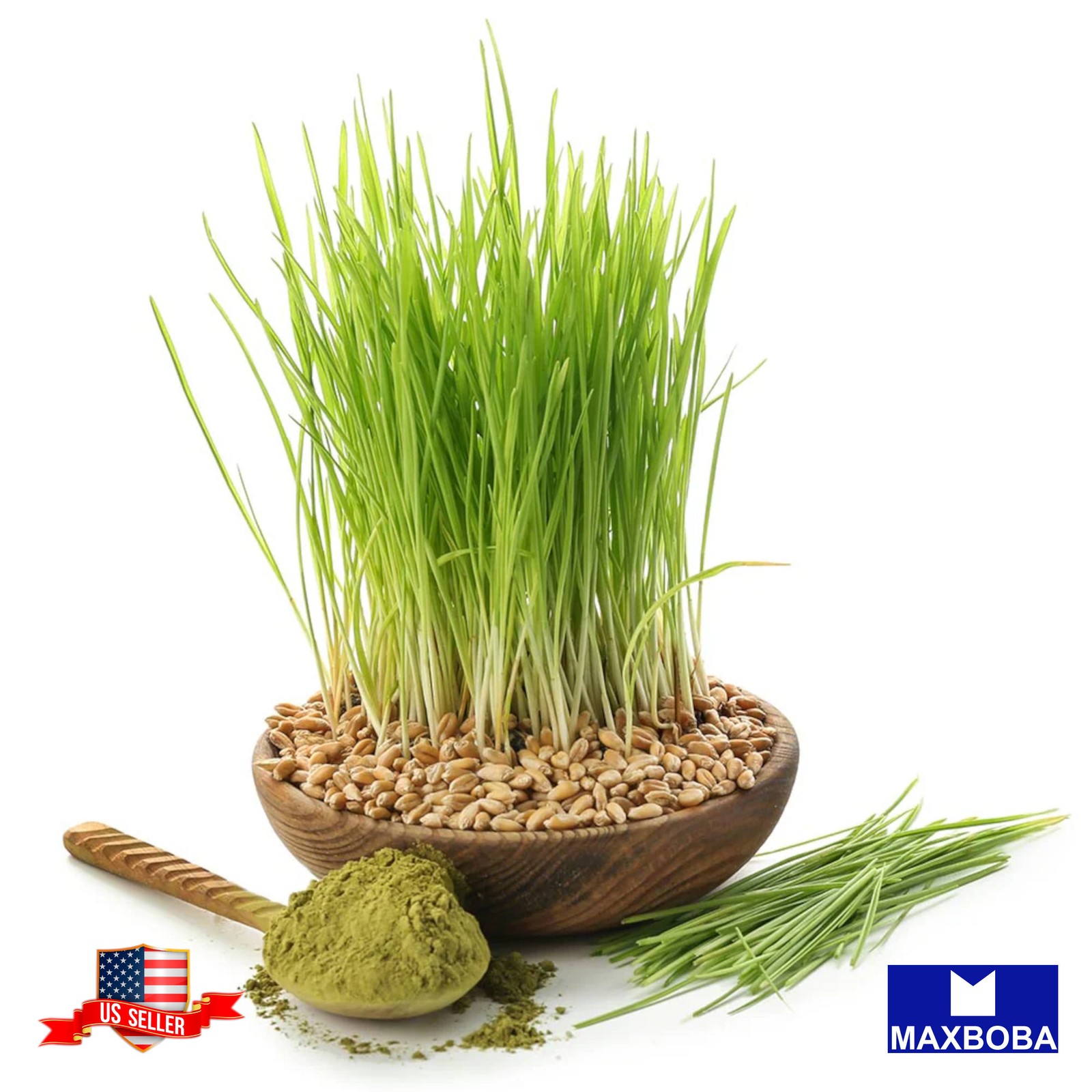 300 Whole (Organic) Grass Barley Seeds Non-GMO BTGO 75% OFF