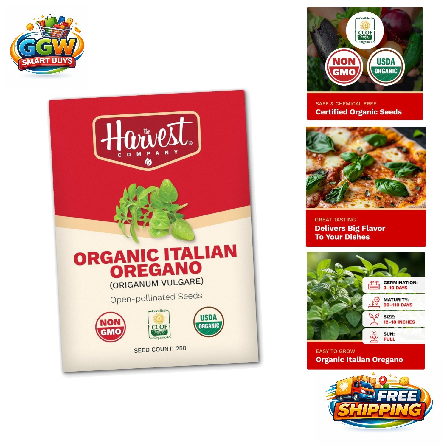 Organic Italian Oregano Seeds with Growing Tips – Perfect for Every Gardener