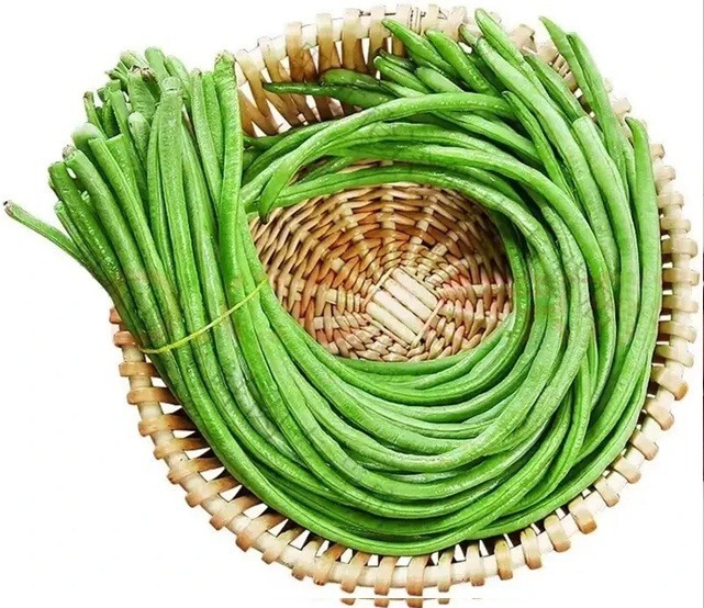 15+Yard Long Bean seeds Asian Chinese Long Bean String beans Productive USA