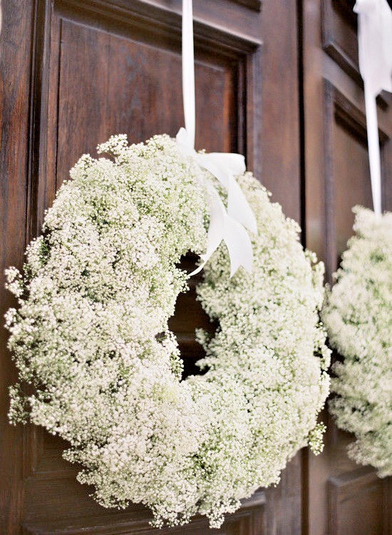 501+BABY’S BREATH Seeds Annual Cut Dried Flowers Summer Garden Patio Container